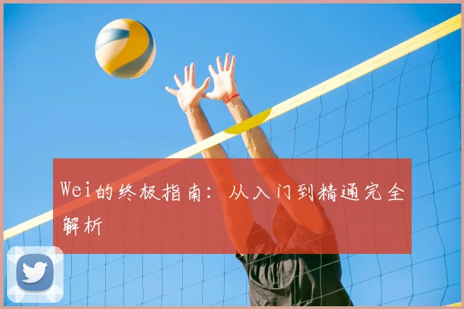 Wei的终极指南：从入门到精通完全解析